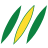 Elipso Louvres