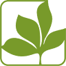 El Limonar International School Murcia (campus Montevida)
