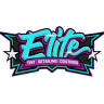 Elite Auto Tint