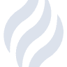 Elite Gasfield Services