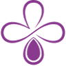 Elixir Vitae Studio
