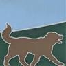Elk Park Animal Hospital