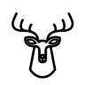 Vuoricaravan