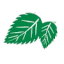 Elm Creek Ltd