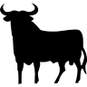 El Valenciano