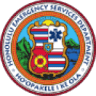 Honolulu Ocean Safety Services