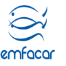 Emfacar, S.L.