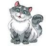 From The Emilia-Romagna Maine Coon Zucht