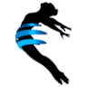 Emlider DANCE
