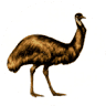 Emu Park Golf Club