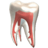 Dr. Jay J. Kopf, DDS