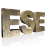 Earth Surface Engraving