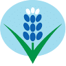 Ennis Bluebonnet Market