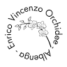 Enrico Orchidee