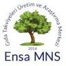 Ensamns