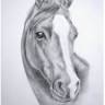 Equine Magic Centre