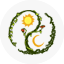 Equinox Botanicals