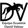 Equipo Ecuestre David Veloso