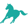 Equus Outsourced Accounting LLC