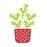 Erboristeria Erbamia