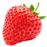 Erdbeeren F. Lülf