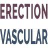 Erection Vascular