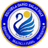 Darío Salas School