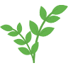 Esencia de Plantas | Bienestar Natural