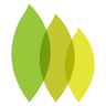 Espace Coworking