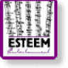 Esteem Entertainment