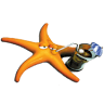 Star Ria Formosa