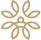Estrela de Gaia