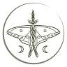 NaturArte: Yoga, Arte & Naturaleza