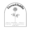 Eternel Dahlia