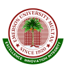 Emerson University Multan