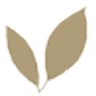 Everbloom Designs