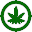 Evergreen Grow Shop