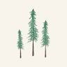 Evergreen Design & Construction
