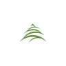 Evergreen Physical Therapy