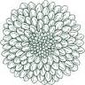 Evige blomster