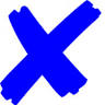 Express Dry Carpet Cleaning & Pest Control