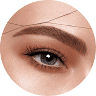 Eyebrow Style
