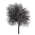 Fabula