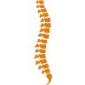 Fairfax Chiropractic Center