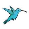 CO-BLUE fairtrade shop