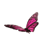 Faith Maternity Care