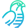 FALCON CODE