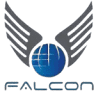 Falcon India - Custom House Agent Delhi TKD, Best CHA Company In Tughlakabad, China Sea Shipping Forwarding Agent In Delhi