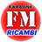 Faraone Michelangelo Santo