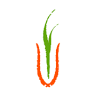 Farmacy